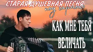 Душевная Песня Как Мне Тебя Величать - Алексей Кракин #Песниподгармонь
