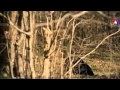 Şehzade Mustafa'nın oğlu Mehmet infaz edilecek Muhteşem Yüzyıl 124 Bölüm - Film Yorum