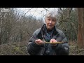 Lichen expert Pat Wolseley takes part in the air survey with a local group | Natural History Museum