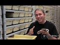 Snake Bytes TV - How To Breed Snakes For A Living : SnakeBytesTV