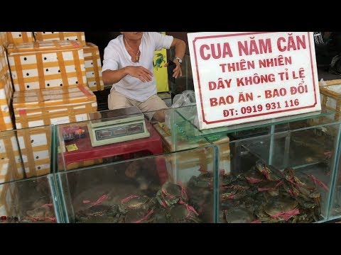 Kinh nghiệm mua cua biển cà mau thiên nhiên ngon bổ giá rẻ bình dân ở sài gòn có thể bạn chưa biết!?