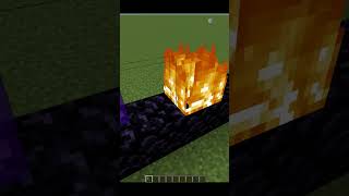 How Big Can Be Nether Portal? | #Shorts