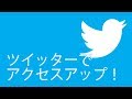 ツイッター集客の基本を知ろう!拡散パワーでアクセスアップの秘訣は?