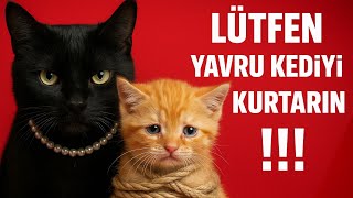 İzlerken Öfke Kri̇zi̇ Geçi̇receksi̇ni̇z