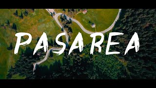 În Van - Pasărea Official Lyric Video