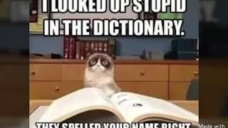 Funny Memes😂😂😂 2018!!!Best Compilation!!!!!Part 1