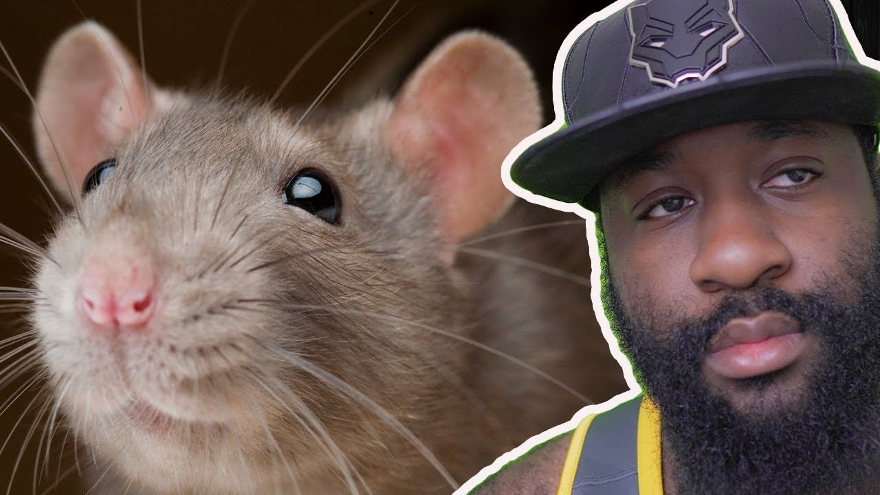 Journalist RATS Snitch on businesses that stay open