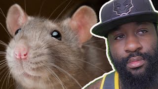 Journalist RATS Snitch on businesses that stay open