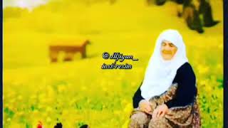 Canım Anam Canım Anam