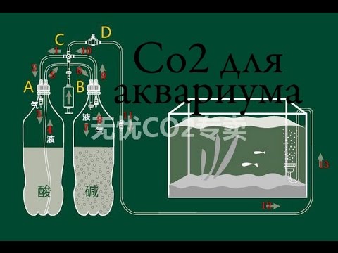 Как сделать систему подачи co2 в аквариуме Как сделать систему подачи co2 в аквариуме