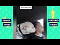 TRY NOT TO LAUGH - Funny Animals Videos!