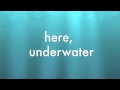 Underwater Video preview