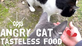 Angry Cat - When have tasteless food | Cat Food | Funny Cat Video | Cat Meowing | Dog and Cat | Vlog