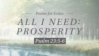 All I Need: Prosperity // Psalm 23:5-6