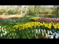 Keukenhof a világ legszebb virágoskertje  I  rész     1