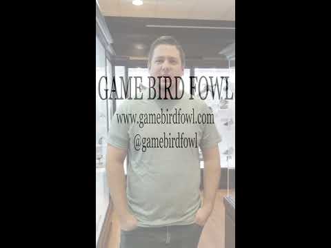 Bean Life Science Museum Game Bird Rooms