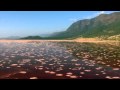 Wonderful Chill Out Music - Africa 2 [HD].mp4