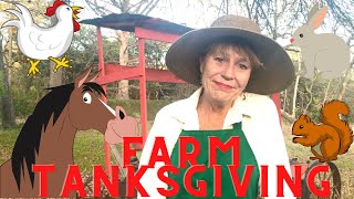 Plenty to be Thankful For
