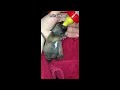 مواقف وطرائف سكس