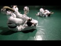 Rener Gracie vs. Purple Belt (Both Hands Tied Down) from GracieUniversity.com