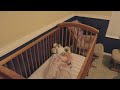 Dad climbs into baby crib!