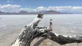 Flat Earth Studios: Bonneville Salt Flats Utah U.S.A. official flat earth movie trailer