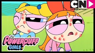 Domuzcuk Kabarması Powerpuff Girls Türkçe Çizgi Film Cartoon Network