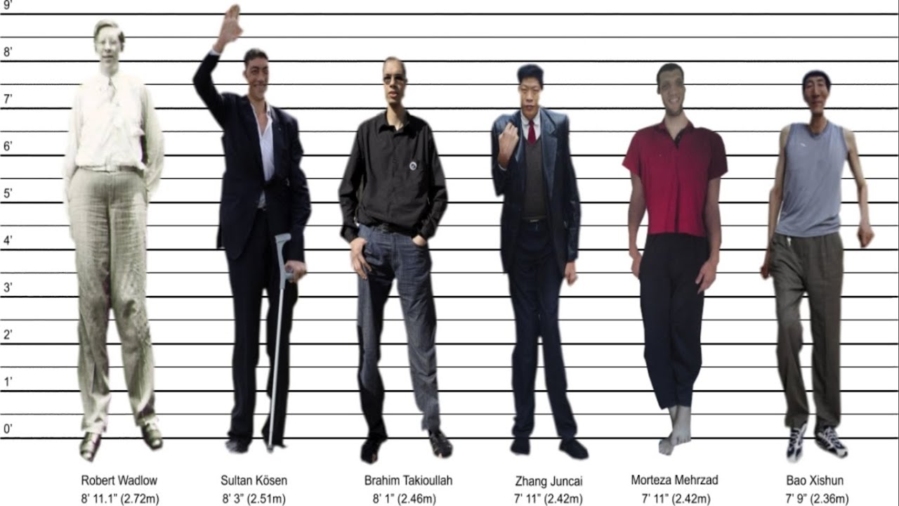 Amazon height comparison pictures