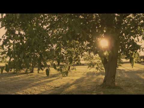 Depeche Mode 2009 - Fragile Tension ( Beat the Disco Mix by Scape )
