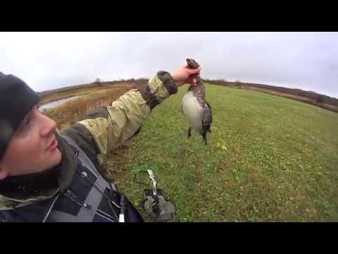 Охота на уток 2018 год новое видео Охота на уток 2018 год новое видео