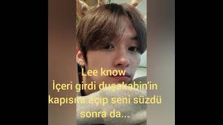 Stray Ki̇ds İstek Tepki̇