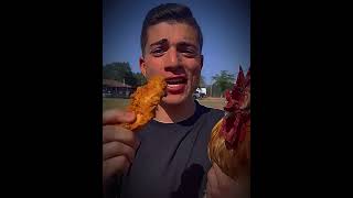 Eat A Chicken Infront Of A Chicken For 2000 Likes???