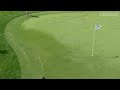 Carl Pettersson chips in for birdie in final round at Valspar