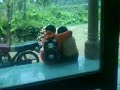 Asmara Anak Pelajar images Asmara Anak Pelajar