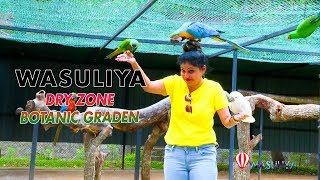 Travel with Wasuliya  | Dry Zone Botanic Graden