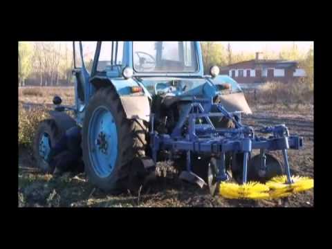 Посадка яблони осень на урале Посадка яблони осень на урале