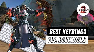 Beginner Keybinds And Settings Guide - Guild Wars 2