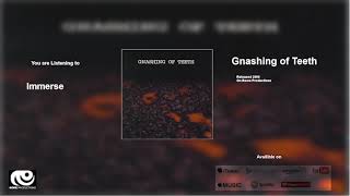 Watch Gnashing Of Teeth Immerse video