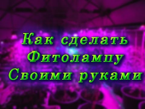 Как изготовить фитолампу своими руками Как изготовить фитолампу своими руками