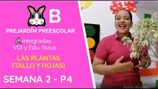 Las Plantas Tallo Y Hojas