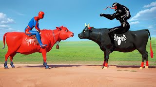 الرجل العنكبوت انقاذ باتمان Spider-Man Rescue Batman Vs Iron Man Vs Venom Funny Game Gta 5 Superhero