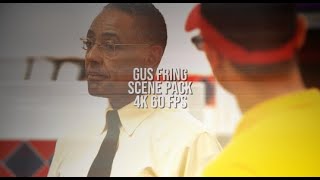 Gus Fring Scene Pack 4K 60 Fps