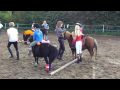 Ponykamp Noord West 2009