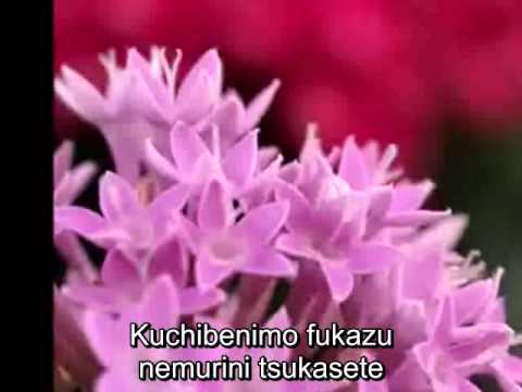 Takao Horiuchi - いつまでもラブソング Takao Horiuchi - いつまでもラブソング