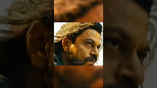 Tiger 3 The Return Of Sheru & Tiger Salman
