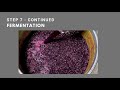 How to make wine with frozen grapes - Step by step guide (with music)
