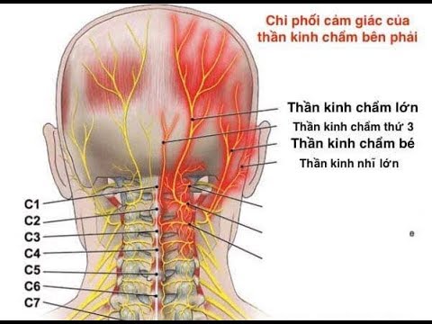 🔴 BẠN CÓ BIẾT Cách chữa đau vai gáy Trung Tâm YHCT CÁT LÂM ĐƯỜNG