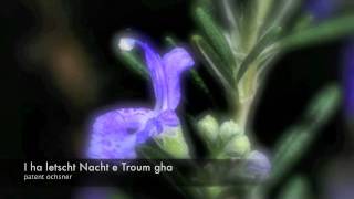 Watch Patent Ochsner I Ha Letscht Nacht E Troum Gha video