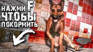 Впервые В Сталкер Кормлю Пса!►S.t.a.l.k.e.r. Ловец Снов #2