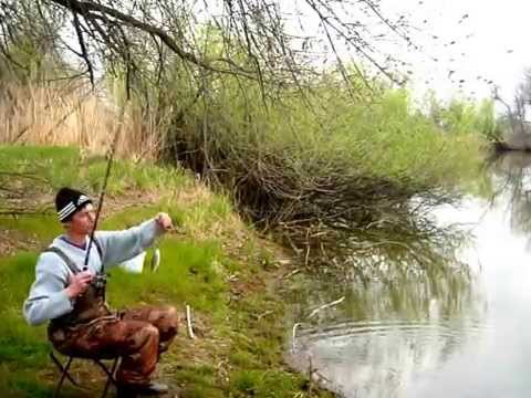 рыбалка на конурке рыбалка на конурке